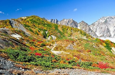 秋のアクティビティ