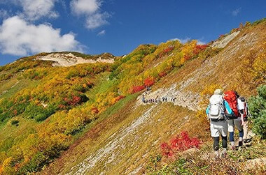 秋のアクティビティ