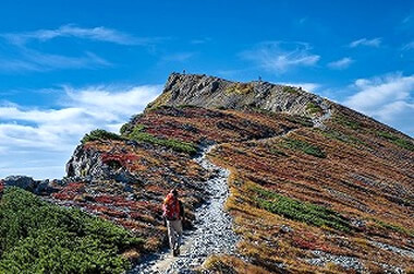 秋のアクティビティ