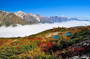 秋のアクティビティ