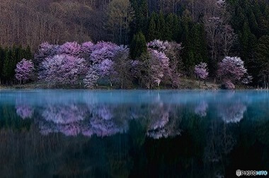 春のアクティビティ