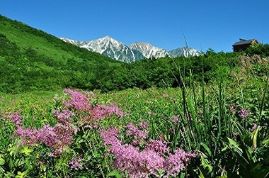 夏のアクティビティ