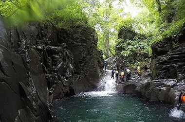 夏のアクティビティ