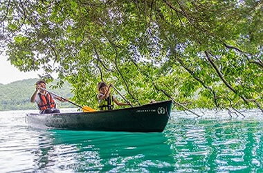 夏のアクティビティ