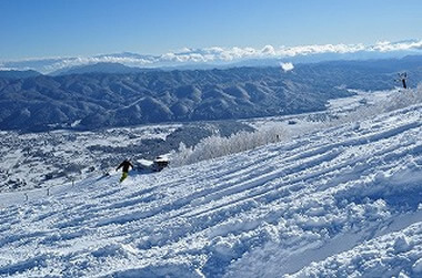 冬のアクティビティ