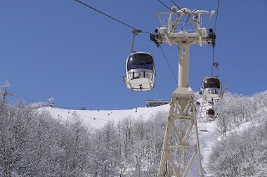 冬のアクティビティ