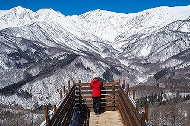 冬のアクティビティ